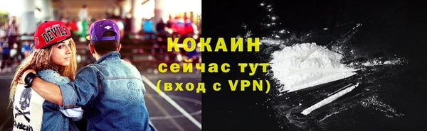 ГАЛЛЮЦИНОГЕННЫЕ ГРИБЫ Горно-Алтайск
