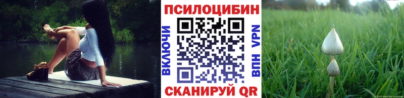 Галлюциногенные грибы ЛСД Кингисепп
