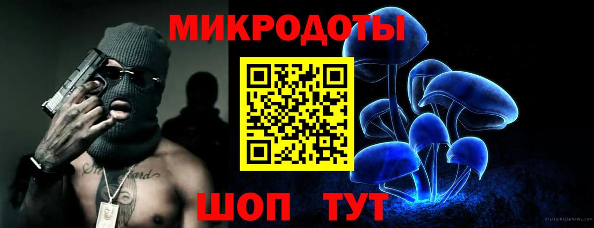 Псилоцибиновые грибы Cubensis Кингисепп